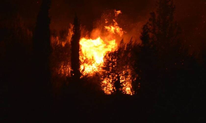 Ολονύχτια μάχη με τις φλόγες φωτιά στη Ζάκυνθο - Υποψίες για εμπρησμό