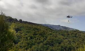 Ζάκυνθος: Μεγάλη πυρκαγιά ανάμεσα στα χωριά Έξω Χώρα και Μαριές