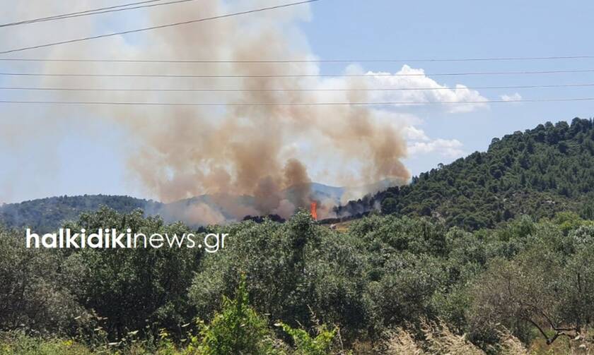Χαλκιδική: Υπό έλεγχο η φωτιά στη Σιθωνία (pics)