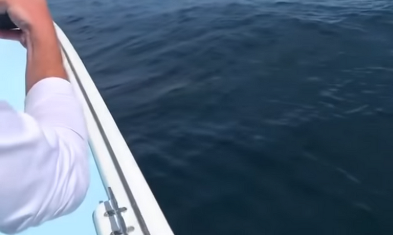 Ψαράς έρχεται πρόσωπο με πρόσωπο με λευκό καρχαρία! (video)