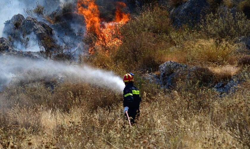 Φωτιά ΤΩΡΑ: Πυρκαγιά πίσω από τα κοιμητήρια Ευόσμου στη Θεσσαλονίκη