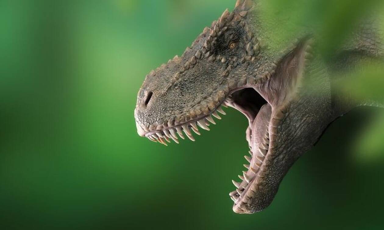 Ανακαλύφθηκε δεινόσαυρος μεγαλύτερος από τυραννόσαυρο
