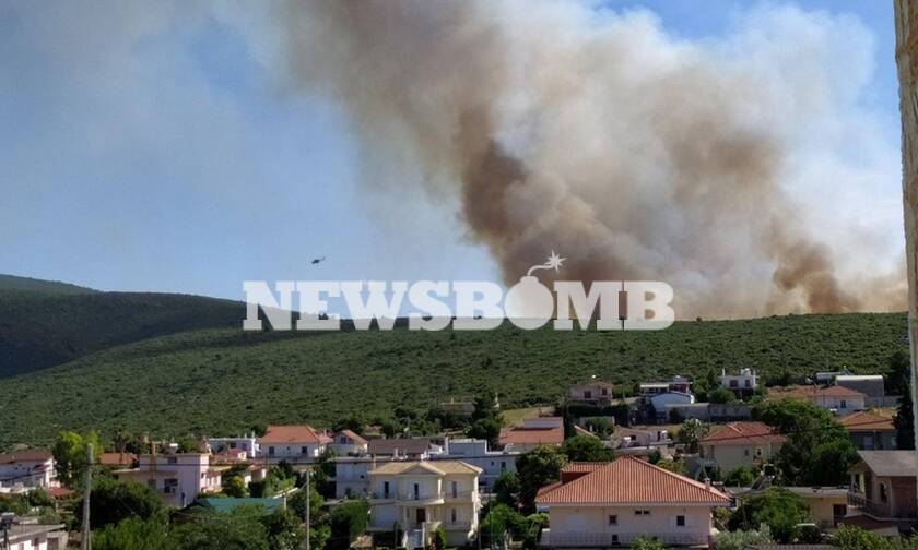 Φωτιά ΤΩΡΑ στο Μαρτίνο Φθιώτιδας: Έκλεισε η Ε.Ο Αθηνών - Λαμίας