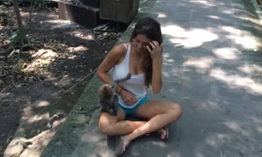 Mαϊμουδάκι χουφτώνει… τουρίστρια - Δείτε την αντίδρασή της! (video)