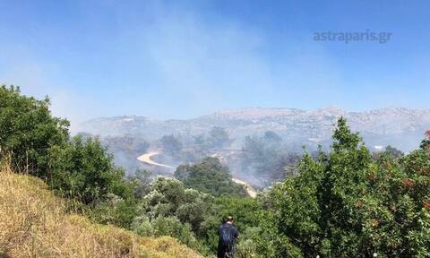 Μεγάλη φωτιά στη Χίο - Προς εκκένωση οικισμοί