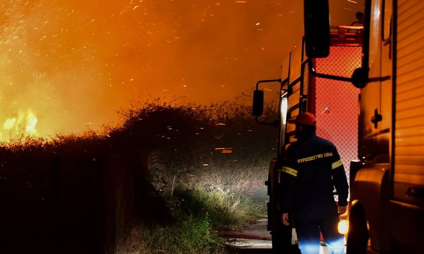 Φωτιά στην Αττική: Πυρκαγιά στον Γέρακα