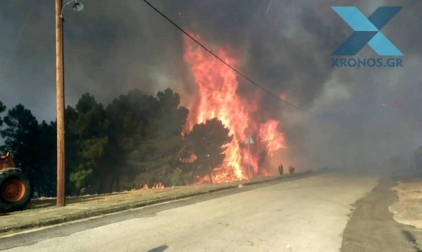 Φωτιά ΤΩΡΑ στις Σάπες Ροδόπης: Εκκενώθηκε οικισμός - Οι φλόγες στις αυλές των σπιτιών