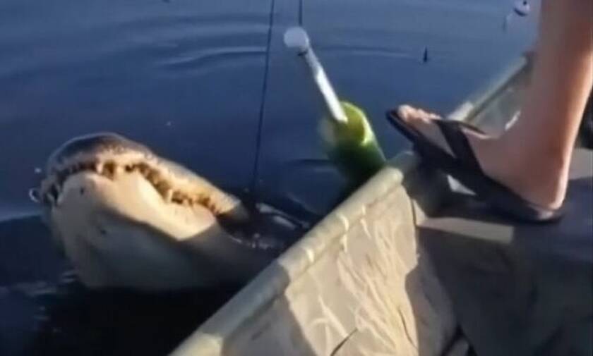 Ψαράς παθαίνει αμόκ όταν σηκώνει την πετονιά του