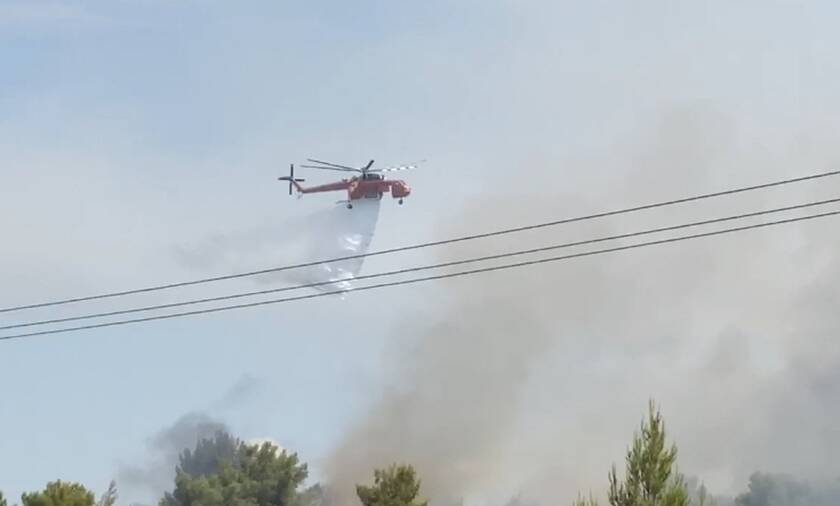 Συναγερμός στην Πυροσβεστική: Μεγάλες φωτιές σε Μυτιλήνη, Κιάτο και Μάνη