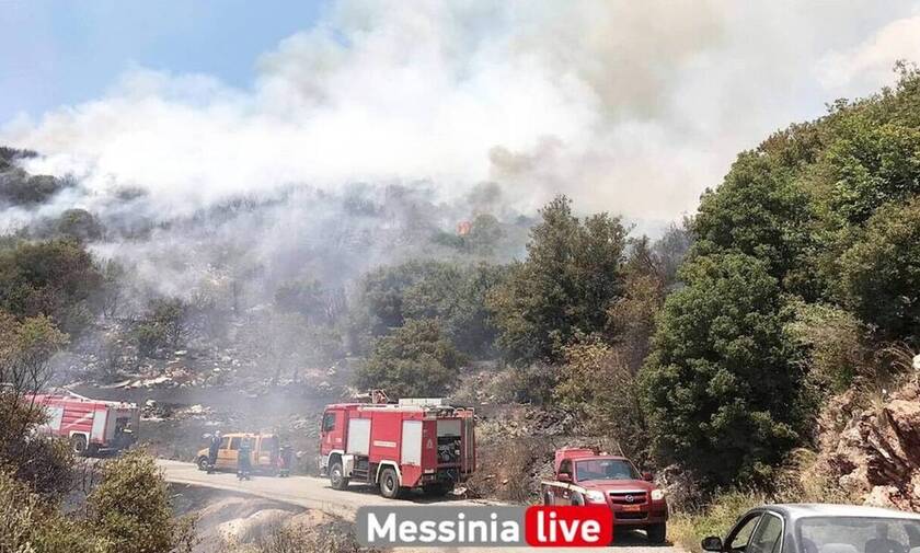 Φωτιά Μεσσηνία: Καλύτερη η εικόνα της πυρκαγιάς στο Πεταλίδι