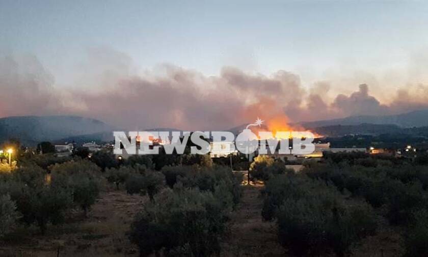 Φωτιά - Μάχη με τις φλόγες στις Κεχριές: Διάσπαρτες εστίες και συνεχείς αναζωπυρώσεις