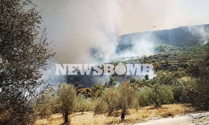 Φωτιά - Κορινθία: Μαίνεται η πυρκαγιά στις Κεχριές - Κίνδυνος από τις αναζωπυρώσεις