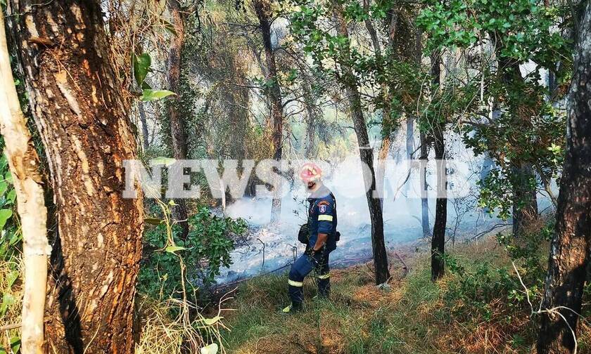 Φωτιά στις Κεχριές: Αρχηγός της Πυροσβεστικής στο Newsbomb.gr - «Δεν θα σβήσει εύκολα»