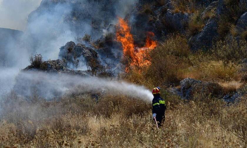 Φωτιά στην Ηλεία: Μαίνεται η φωτιά στο Γραμματικό - Δεν απειλούνται κατοικημένες περιοχές