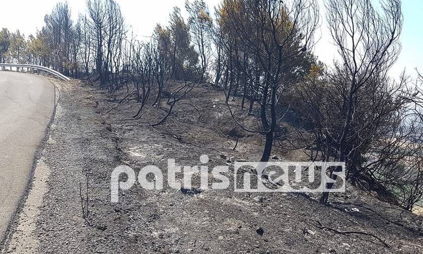 Ηλεία: Καμένη γη άφησε πίσω της η πυρκαγιά στα χωριά της Ολυμπίας – Θλιβερές εικόνες