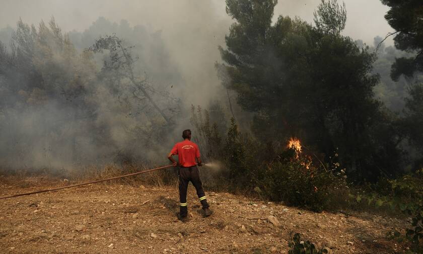 Φωτιά στις Κεχριές: Διάσπαρτες εστίες εξακολουθούν να καίουν για πέμπτη μέρα