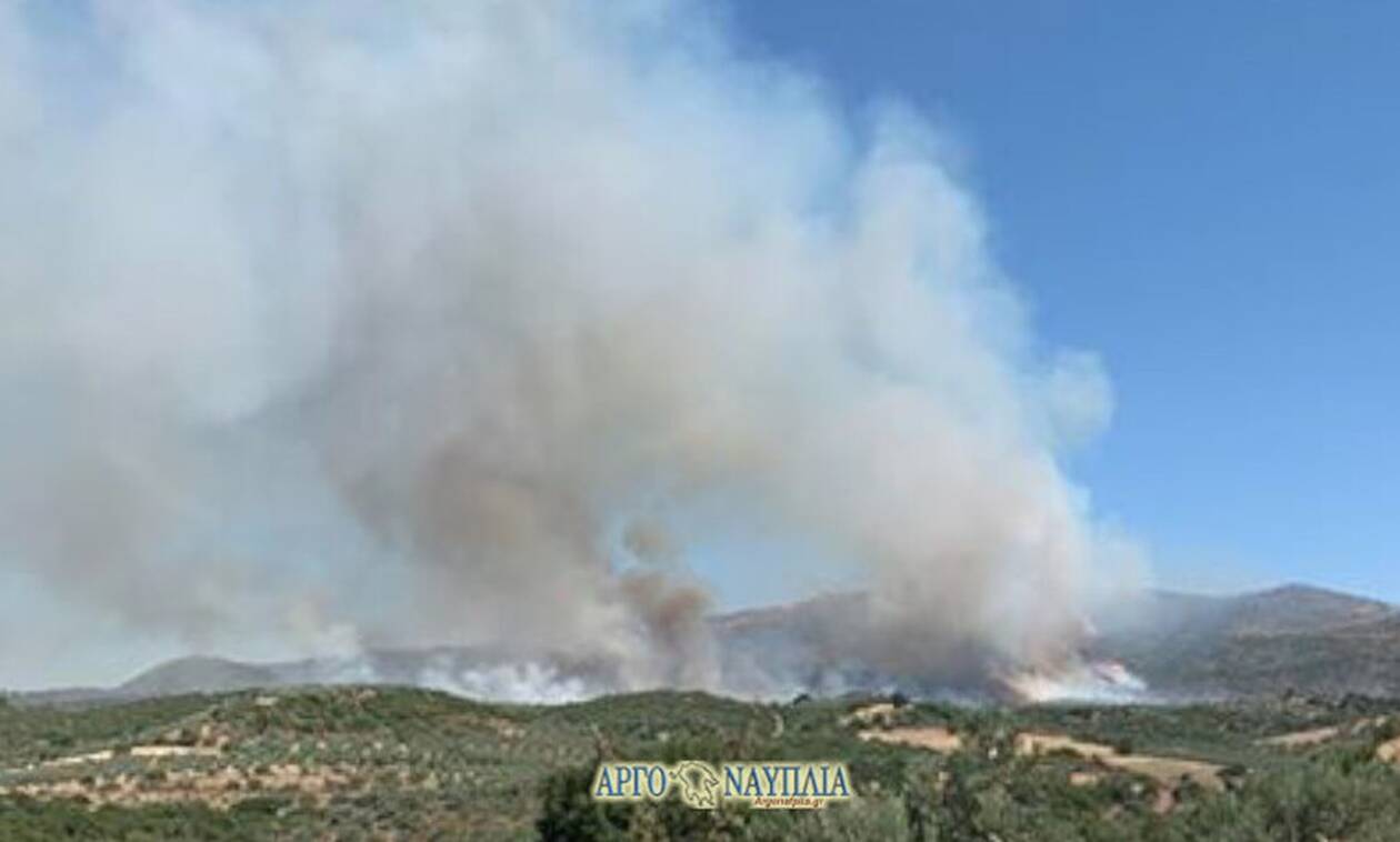 Φωτιά ΤΩΡΑ: Ανεξέλεγκτη η πυρκαγιά στην Επίδαυρο - Οι πρώτες εικόνες