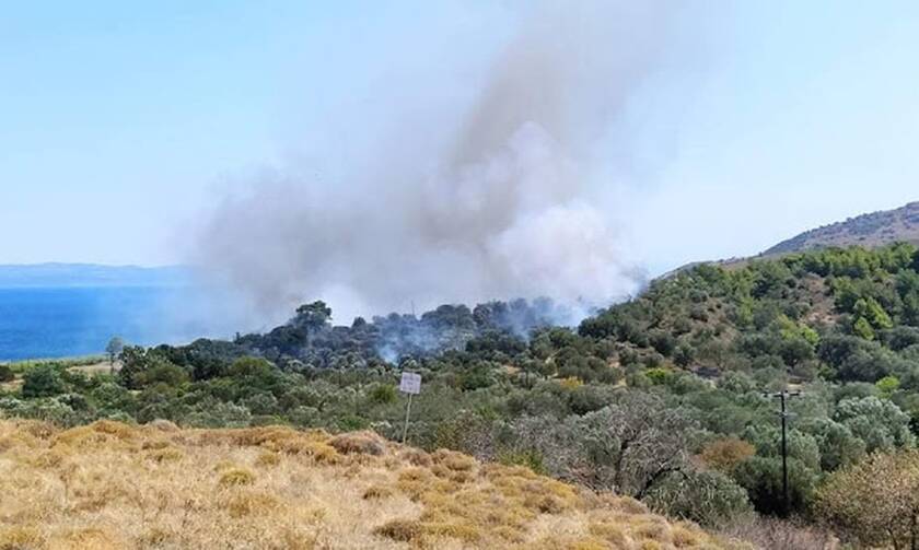 Φωτιά σε αγροτοδασική έκταση στη Μυτιλήνη
