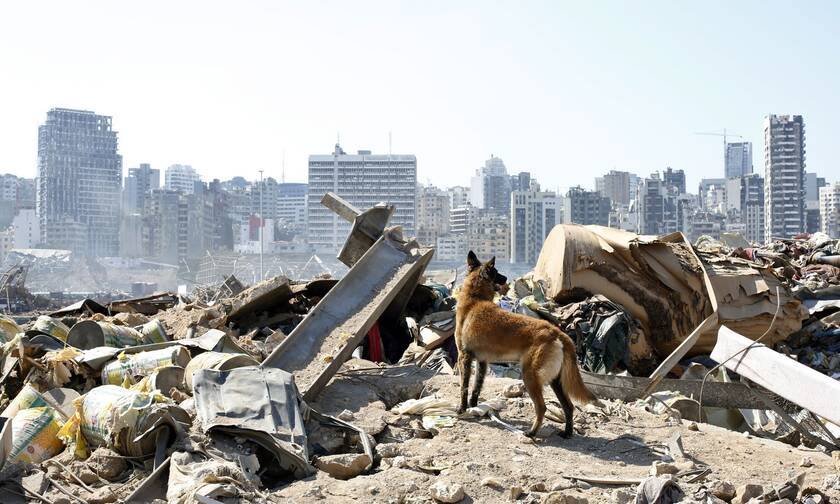 Έκρηξη στη Βηρυτό: Ο ΠΟΥ κάνει έκκληση για 15 εκατ. δολάρια - Η UNICEF για 8,25 εκατ.