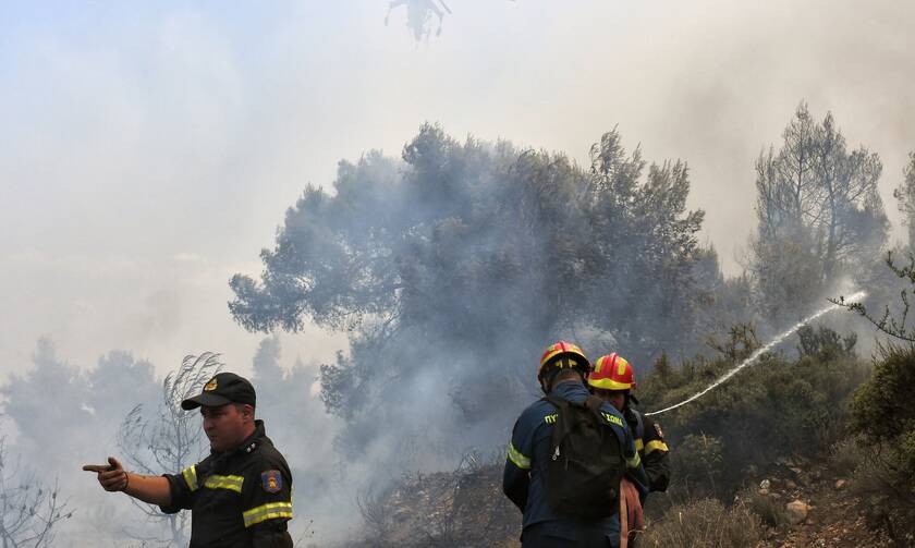 Φωτιά ΤΩΡΑ στο Μεσολόγγι: Συναγερμός στην Πυροσβεστική