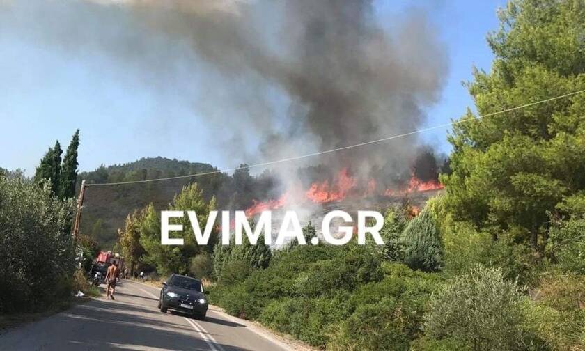 Μεγάλη φωτιά στην Εύβοια - Κοντά σε σπίτια οι φλόγες