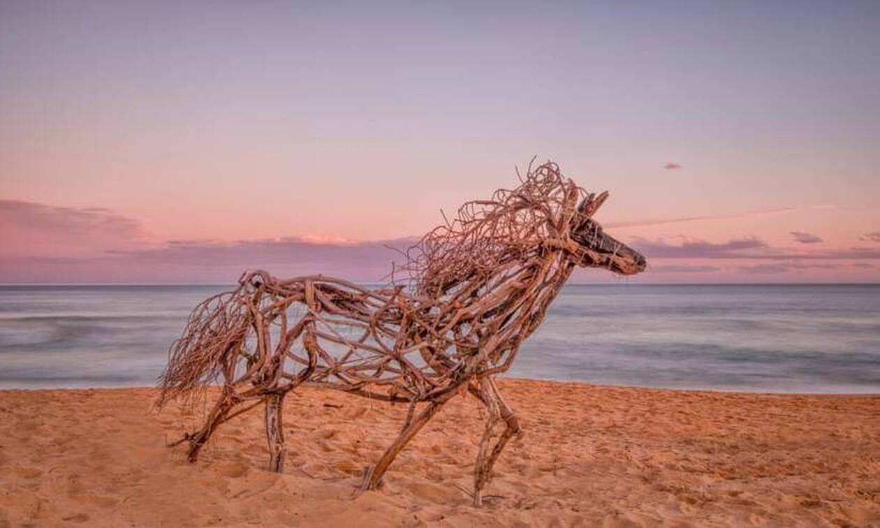 Γλυπτά ζώα από ξύλα που ξεβράζει ο ωκεανός δημιουργεί καλλιτέχνης στην Αυστραλία