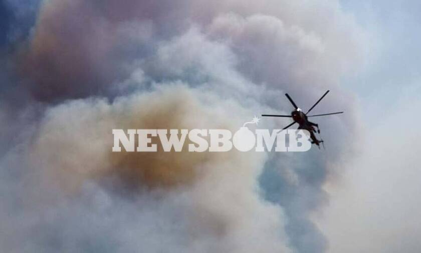 Φωτιά στη Μάνη: Συνεχίζεται η μάχη της κατάσβεσης - Ενισχύονται οι πυροσβεστικές δυνάμεις