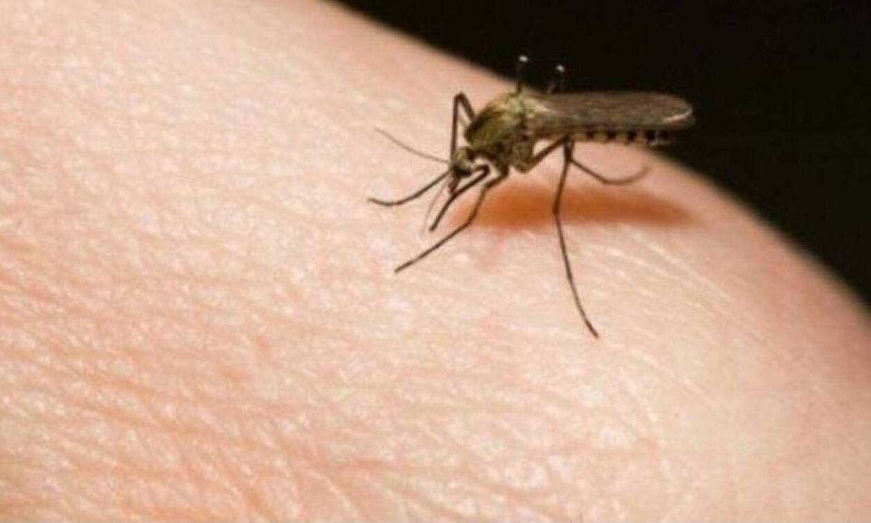 Έβρος: Κρούσμα ελονοσίας σε 42χρονη γυναίκα από την Ορεστιάδα