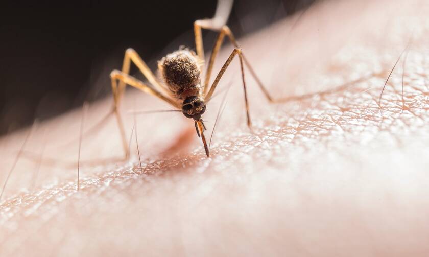 Πώς να αποφύγετε τα τσιμπήματα από τα κουνούπια