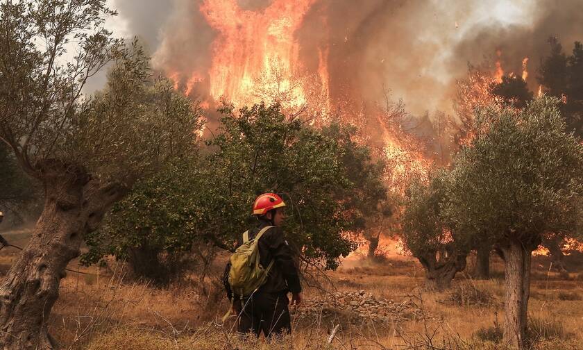 Φωτιές: «Καμπανάκι» από Χαρδαλιά - Η Παρασκευή είναι η πιο επικίνδυνη μέρα του καλοκαιριού