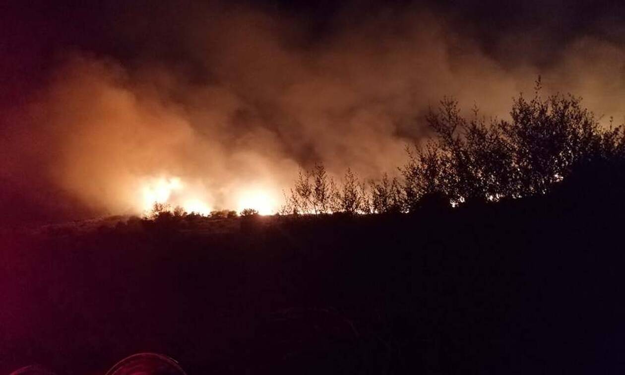 Φωτιά ΤΩΡΑ στην Κεφαλονιά: Στις φλόγες η περιοχή Φαρακλάτα