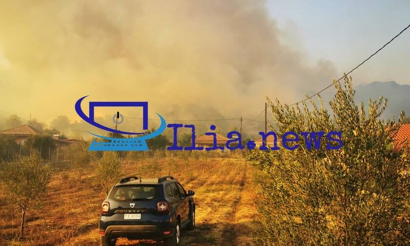 Φωτιά στην Ηλεία: Έφτασε στα σπίτια – Εκκενώνεται το χωριό Δάφνη
