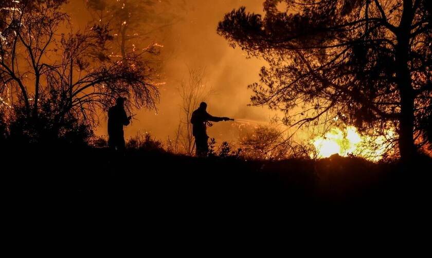 Φωτιά στην Ηλεία: Ολονύχτια μάχη με τις φλόγες στην περιοχή Κολοκυθάς