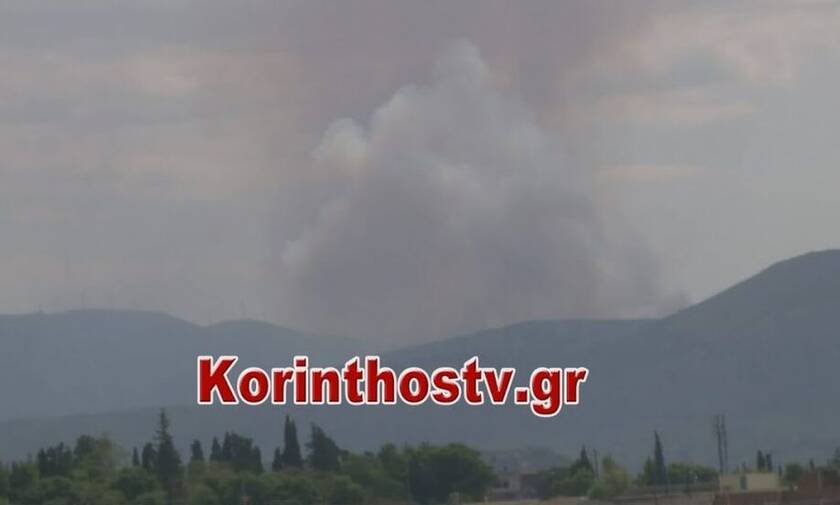 Μεγάλη φωτιά στην Κορινθία - Ενισχύονται οι πυροσβεστικές δυνάμεις