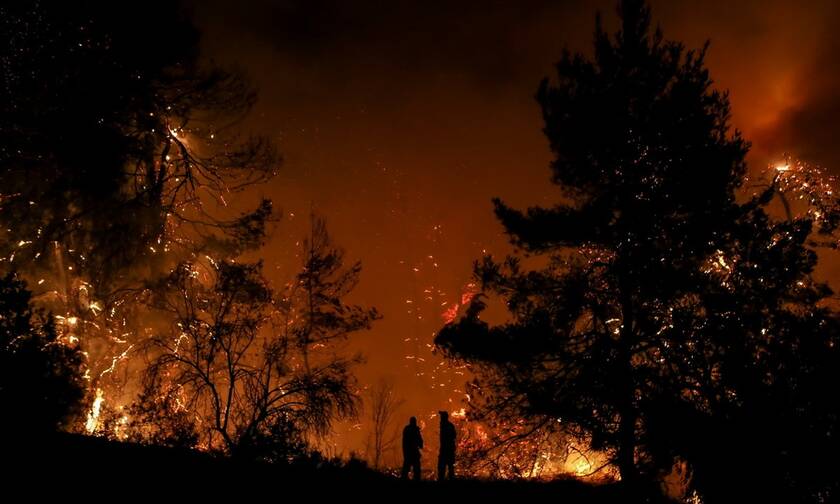 Φωτιά ΤΩΡΑ στον Έβρο: Πύρινο μέτωπο 3 χιλιομέτρων στην περιοχή Νίψας