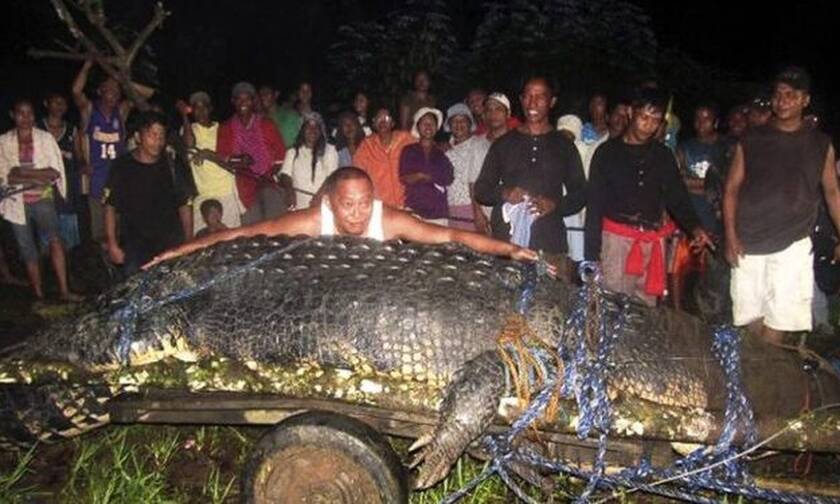 Αυτός είναι ο μεγαλύτερος κροκόδειλος στον κόσμο!