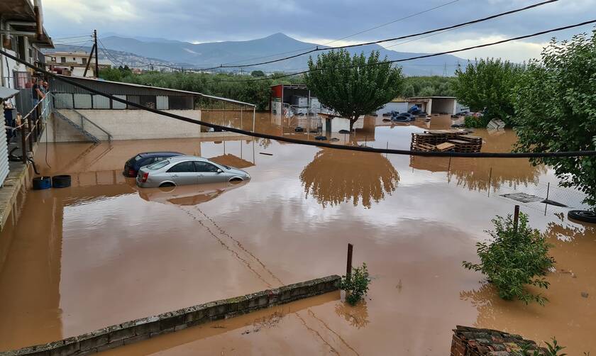 Κυκλώνας «Ιανός»: Η φονική κακοκαιρία σαρώνει την Ελλάδα - Δύο νεκροί σε Φάρσαλα-Καρδίτσα