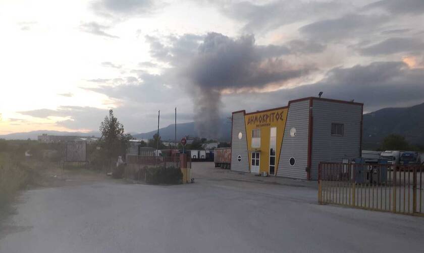 Ξάνθη: Φωτιά κοντά στο πεδίο βολής στο Πετροχώρι