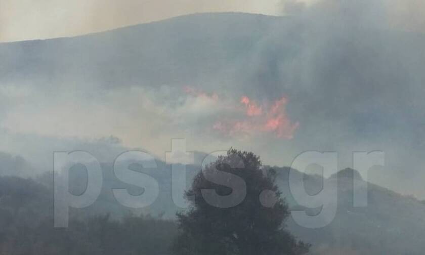 Μεγάλη φωτιά ΤΩΡΑ στην Πάρο - Δείτε τις προσπάθειες των πυροσβεστών (pics&vid)