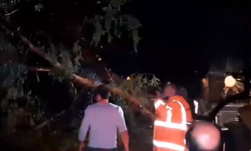 Κακοκαιρία χτύπησε τη Μυτιλήνη - Zημιές σε σπίτια και αυτοκίνητα από ξεριζωμένα δέντρα