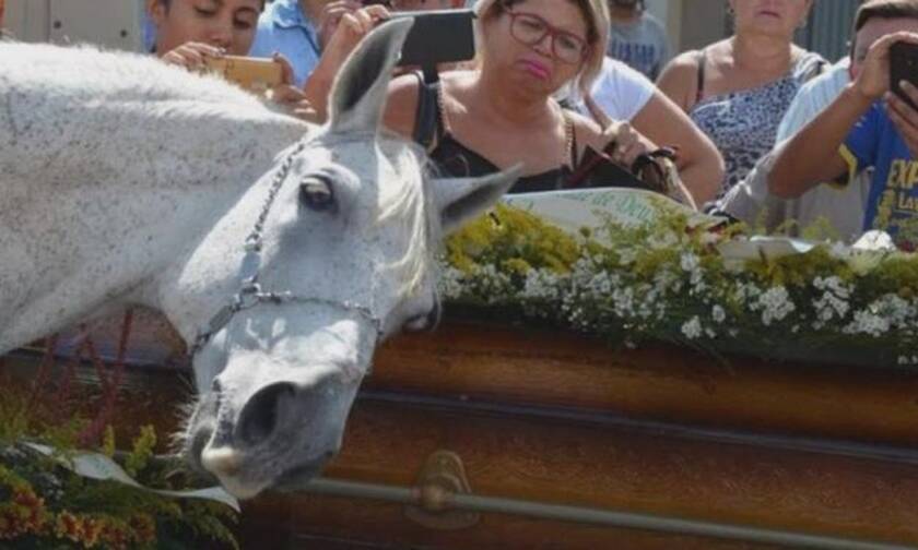 Ανατριχίλα: Άλογο σπαράζει στην κηδεία του αφεντικού του! (vid)