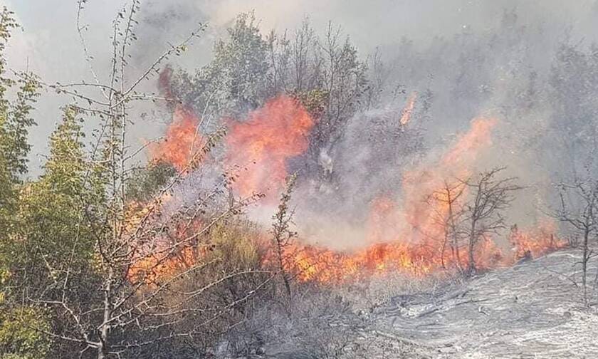 Φωτιά ΤΩΡΑ στον Έβρο: Κινδυνεύει το δάσος της Δαδιάς (pics+vid)
