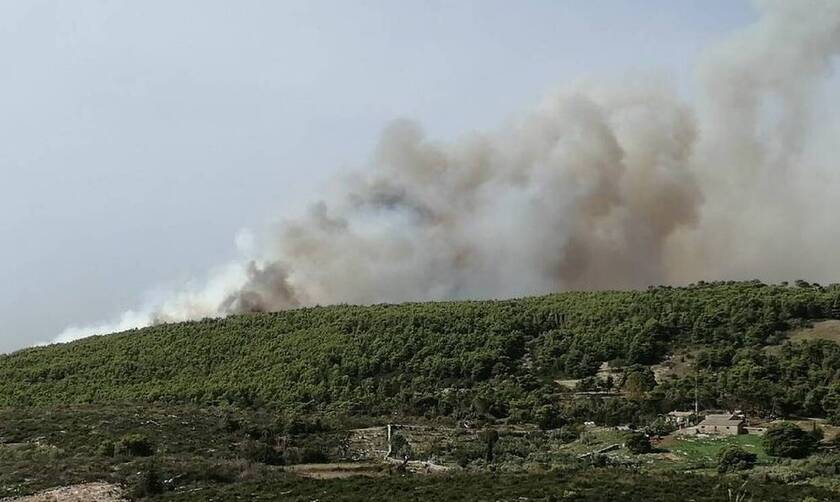 Φωτιά Ζάκυνθος: Στάχτη χιλιάδες στρέμματα - Τεράστια οικολογική καταστροφή