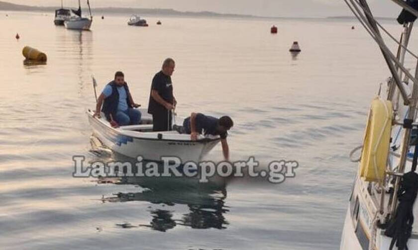 Θρίλερ στη Φθιώτιδα: Βρέθηκε πτώμα γυναίκας στη θάλασσα