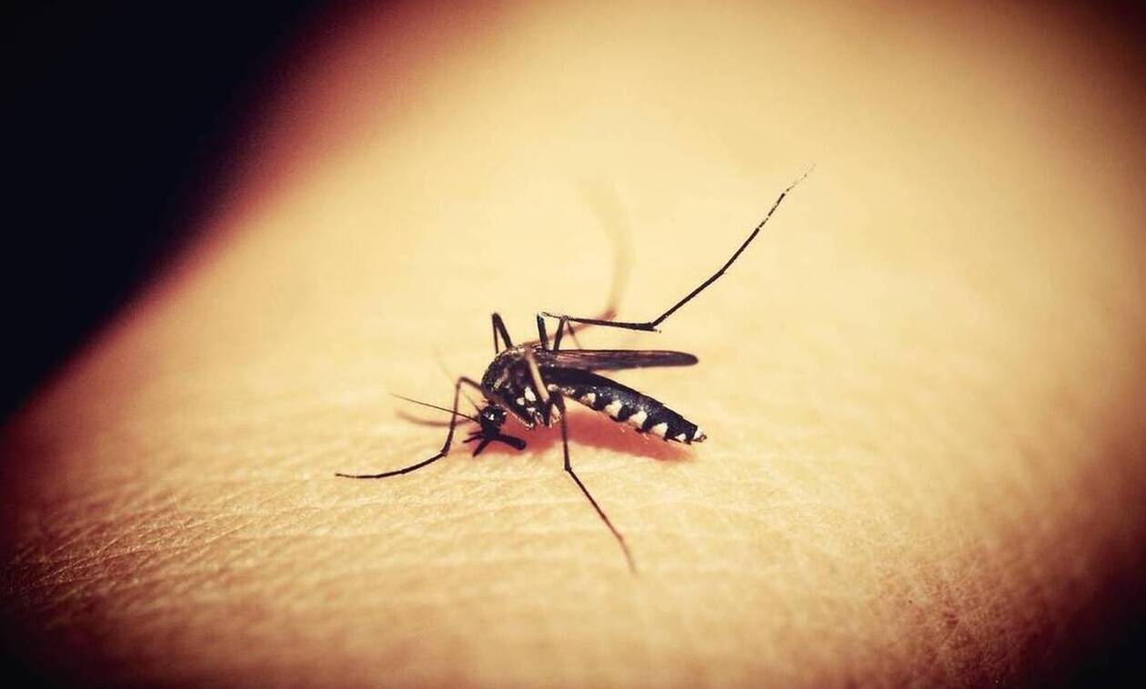 Απίστευτες εικόνες: Τον τσίμπησε κουνούπι στο πόδι πριν 20 χρόνια - Δείτε πώς είναι σήμερα 