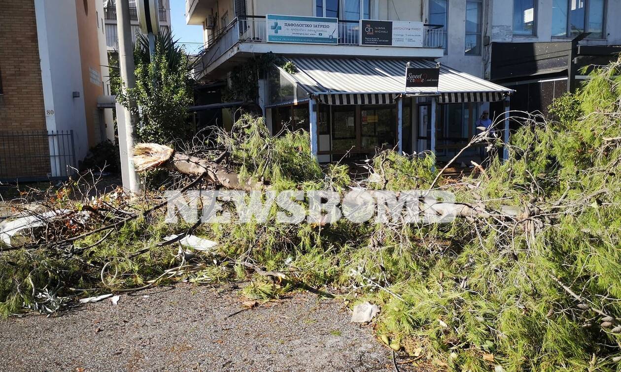 Ρεπορτάζ Newsbomb.gr: Eικόνες χάους στο Νέο Ηράκλειο – Έπεσαν δέντρα, καταστράφηκαν περιουσίες