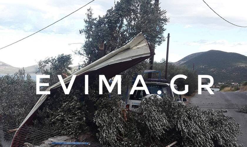 Κακοκαιρία Εύβοια: Μεγάλες ζημιές - Ξεριζώθηκαν δέντρα, έπεσαν κολώνες (pics)