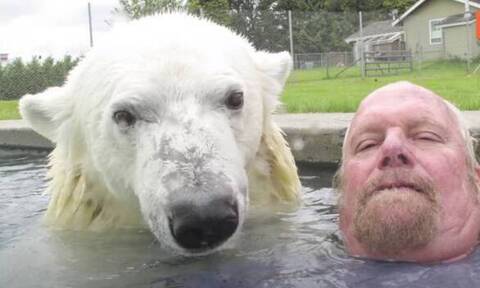 Απίστευτο: Κολυμπάει μαζί με μια πολική αρκούδα! (video)