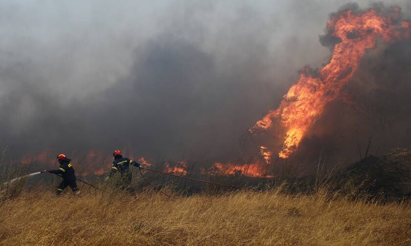 Φωτιά τώρα: Στις φλόγες δασική έκταση στην Κάρυστο - Συναγερμός στην Πυροσβεστική