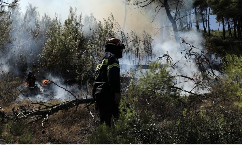 Φωτιά τώρα: Πυρκαγιά σε δασική έκταση στα Μέγαρα Αττικής